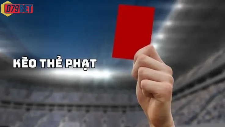 Người chơi tập trung vào phân tích dữ liệu kèo thẻ phạt
